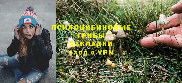 дурь Алексеевка