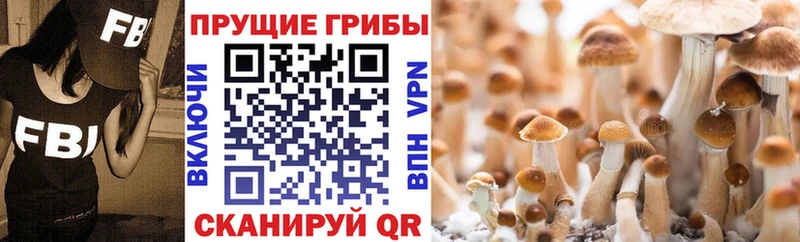 Псилоцибиновые грибы Magic Shrooms Курлово
